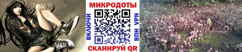 ссылка на мегу tor  Сорск  Галлюциногенные грибы прущие грибы  даркнет сайт 